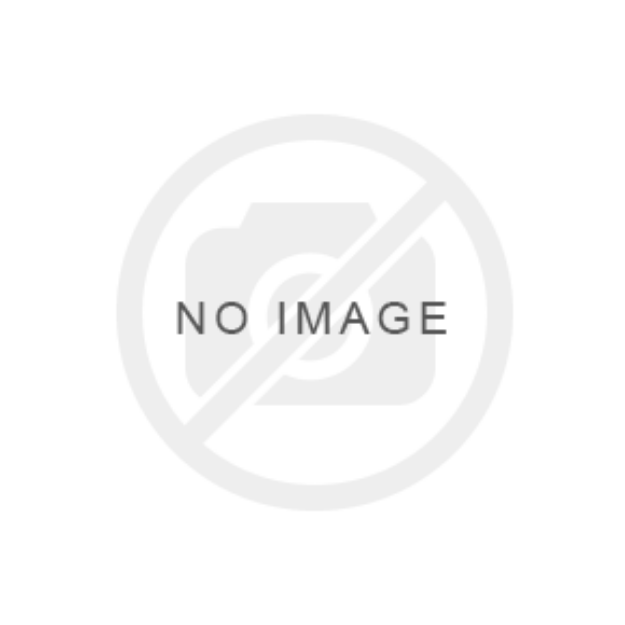 Obrazek KOŁO 175 70 R13 SECURITY 86N 4,5x13 4x100 SSWL